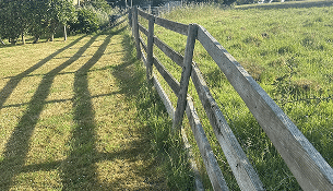 Boundary Fencing for Rural Plots