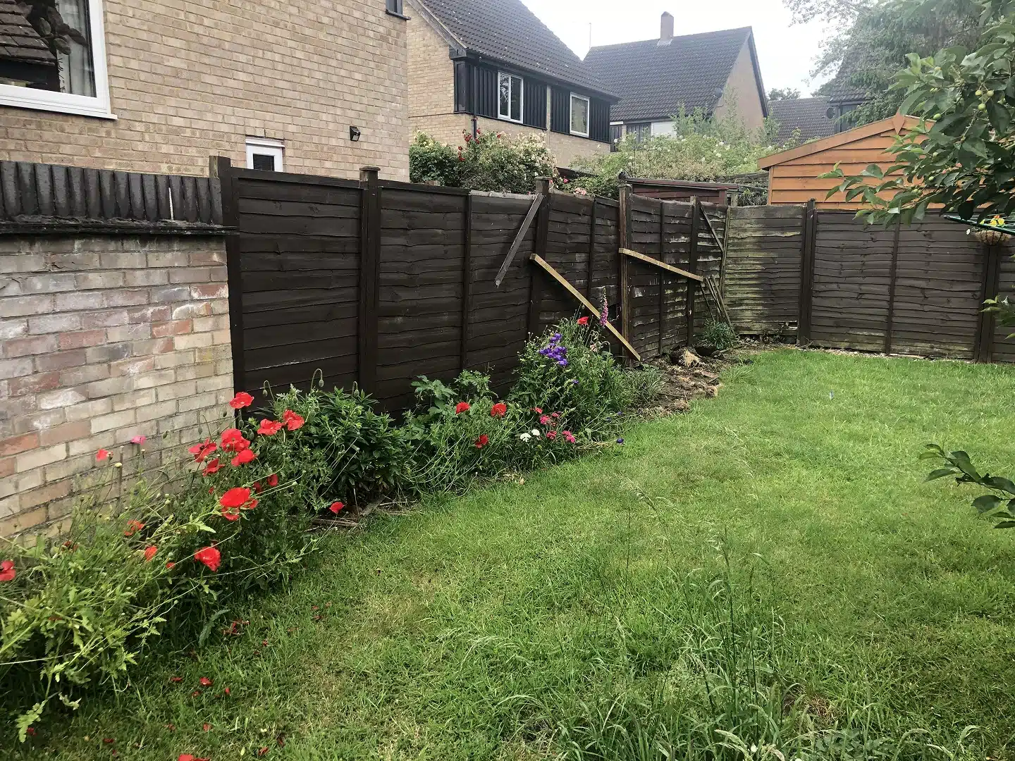 Back garden with a lawn, flower border and damaged wooden fence panels