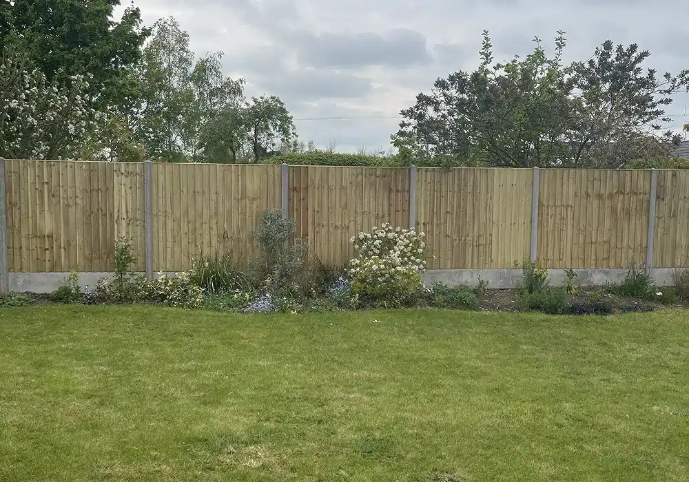 Back garden lawn with a Panel fence and a flower border in Newton longvile