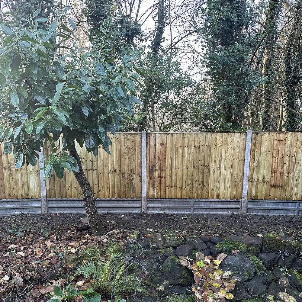 A garden with a wooden fence, a tree and fallen leaves in the foreground